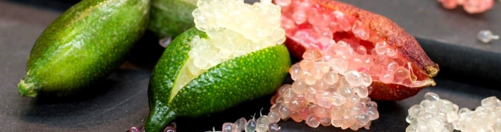 LIMONE CAVIALE Citrus australasica (Finger Lime) -POLPA ROSA- - Ingegnoli